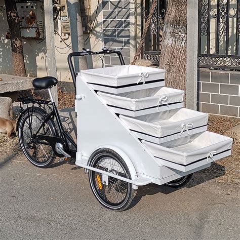 Electric Cargo Bicycle Vendor Cart - Top Cargo Bike