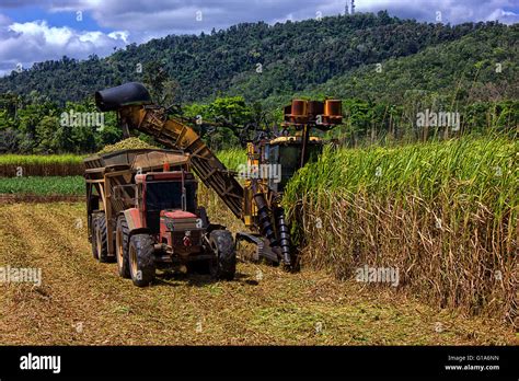 Sugar Cane Harvester Hi Res Stock Photography And Images Alamy