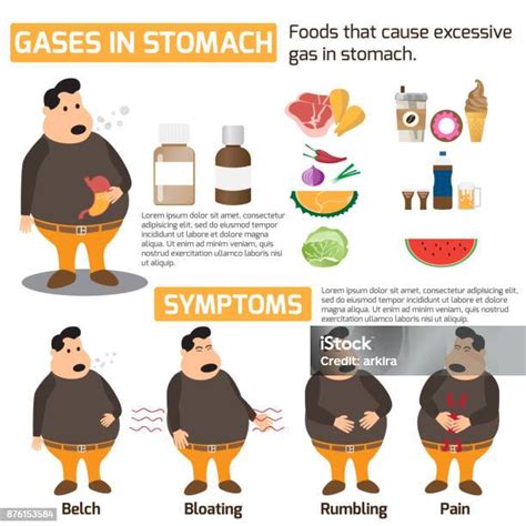 Gases Doi O Estômago - Vetores de Gases No Conceito De Saúde De Infográficos De Estômago ...