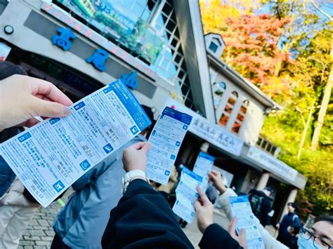 Epic Day Trip To Mt Takao