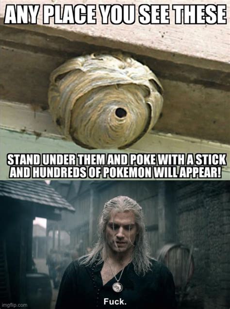 Image Tagged In Netflix S Witcher Geralt Says Fuck Imgflip