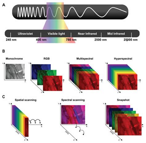 A Schematic Representation Of The Electromagnetic Spectrum S