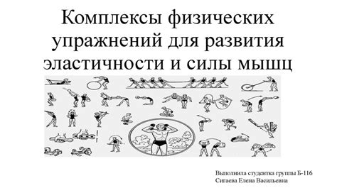 Комплексы физических упражнений для развития эластичности и силы мышц ...