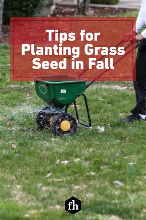 Tips For Planting Grass Seed In Fall In Planting Grass Planting