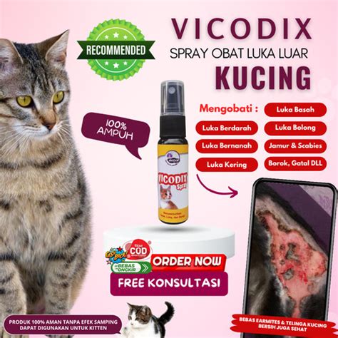 Jual Obat Spray Luka Kucing Vicodix Mengobati Luka Basah Kering Dan