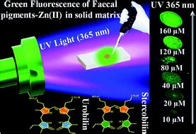 Rapid And Sensitive Naked Eye Detection Of Faecal Pigments Using Their