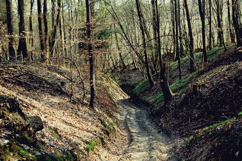 Jura Krakowsko Częstochowska i Ojcowski park narodowy czyli krótka