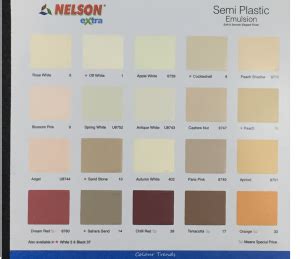 NELSON SEMI PLASTIC EMULSION Drum Size EZMakaan