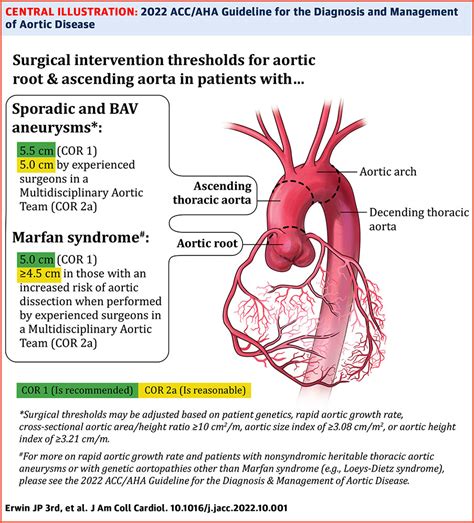 Aortic Disease Guideline Hub Journal Of The American College Of