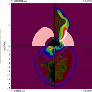 Four Snapshots Of The Rest Mass Density Evolution Of The RM The