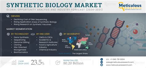 Synthetic Biology Market Share Forecast Trends Analysis