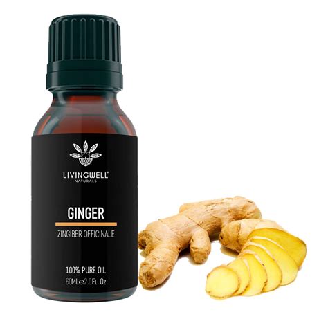 Ginger Zingiber Officinale Pure Oil Livingwell Naturals