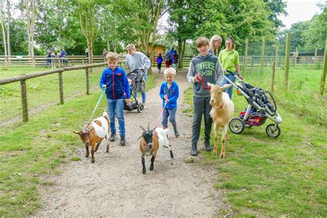 Summer Holiday Activities At Fairfield Animal Centre Fairfield Animal