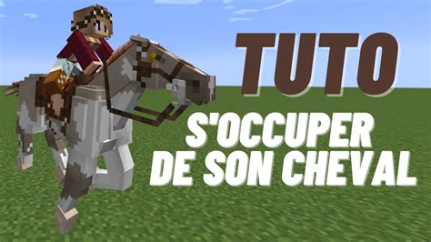 Comment S Occuper De Son Cheval Swem Mod YouTube