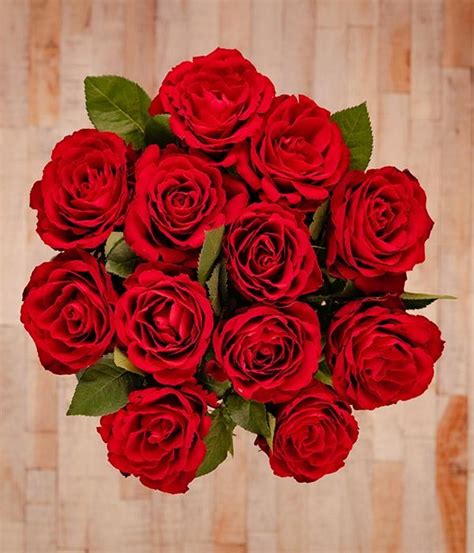 Red Roses Buy Online Or Call