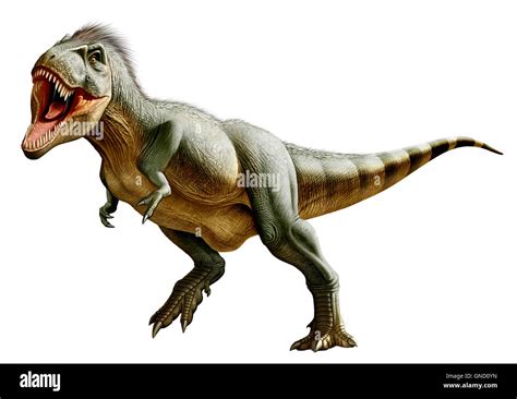 Tyrannosaurus Rex Un Género De Dinosaurios Terópodos Coelurosaurian Del Período Cretácico