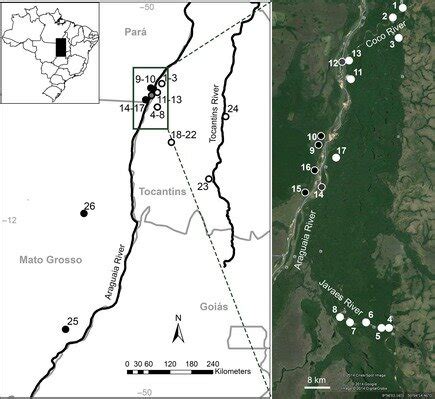 Study Area In The Mid Araguaia River Basin Location Of Study Area In