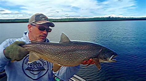 Lake Nipigon Lake Trout And Brookies Youtube