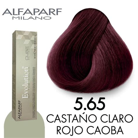 TINTE ALFAPARF EVOLUTION 60 ML 5 65 La Casa Del Tinte