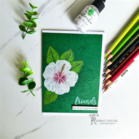 RG.CCC: Colored White Hibiscus