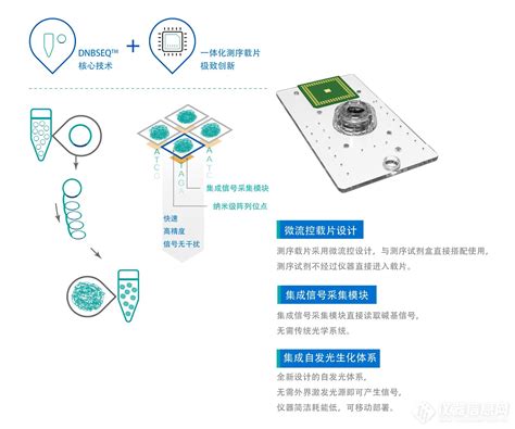 DNBSEQ E5 基因测序仪 化工仪器网