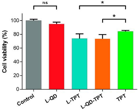 Cytotoxicity Of The Liposomal Formulations And Free TPT On HeLa Cells