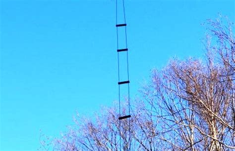 foot wfg  true ladder  open wire feed  true ladder