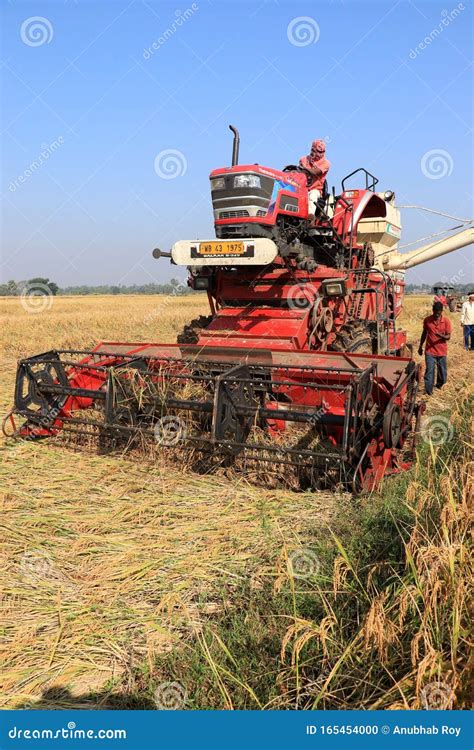 Rice Cutting Machine In The Paddy Field Editorial Image Image Of