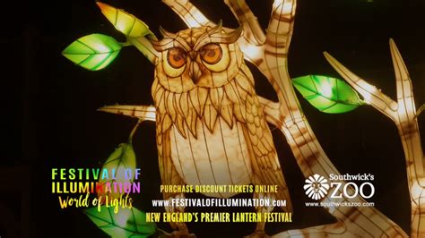 Festival Of Illumination World Of Lights At Southwicks Zoo September