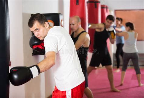 Saco De Boxe Batedor Masculino Imagem De Stock Imagem De Atleta Boxe