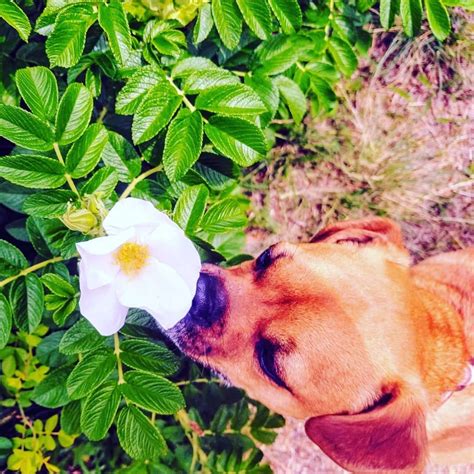 es gibt zwei arten sein leben zu leben entweder  als waere nichts ein