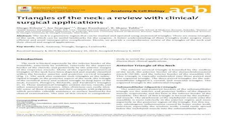 Triangles Of The Neck A Review With Clinical Surgical Applications