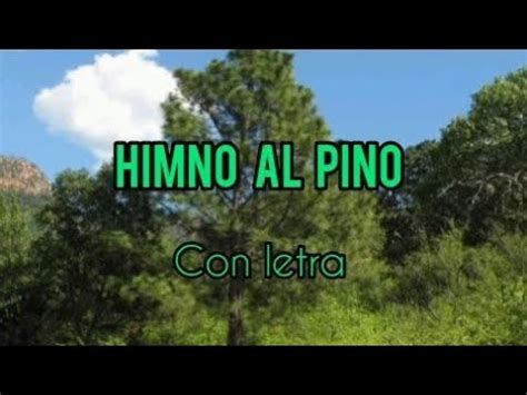 Himno Al Pino Rbol Nacional Con Letra Youtube