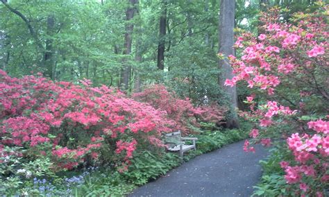 Winterthur Gardens Pop In Late Spring