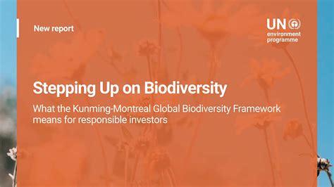 Anticipating Private Finance Sector Measures Evolving From The Global Biodiversity Framework