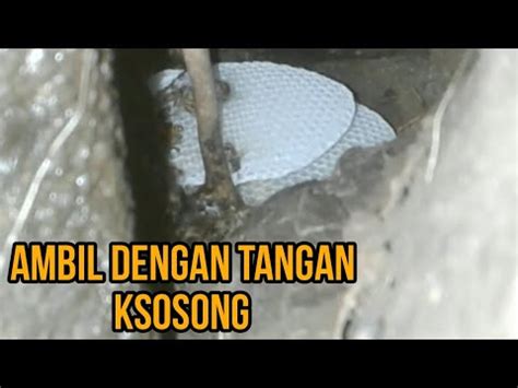 Berburu Sarang Lebah Madu Dengan Tangan Kosong Youtube