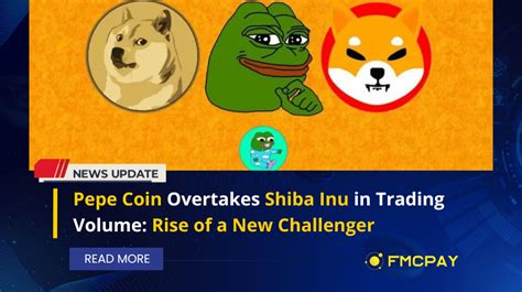 Pepe Coin Overtakes Shiba Inu In Trading Volume Rise Of A New Challenger Fmcpay News