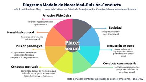 Diagrama Del Modelo De Necesidad Pulsi N Conducta Motivacio