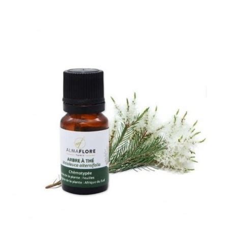 Almaflore Huile essentielle darbre à thé 10 ML Paracare tn Montfleury