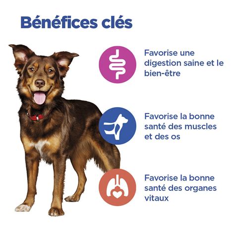 Vetessentials Hill S Chien Multi Benefit Adult Medium Agneau Riz Hill