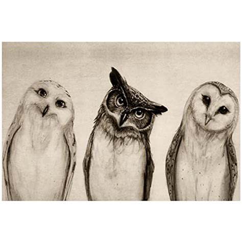 Owl Symbolism and Death: Cultural Beliefs, Mythology, and Spiritual Significance – InnerHunches