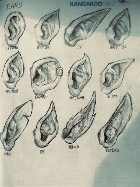 Ears that could help for drawing | How to draw ears, Ear art, Concept ...