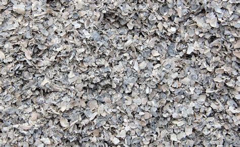 Where To Buy Crushed Oyster Shells For Landscaping Storables