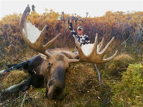 Alaska Self Guided Trophy Moose Hunts