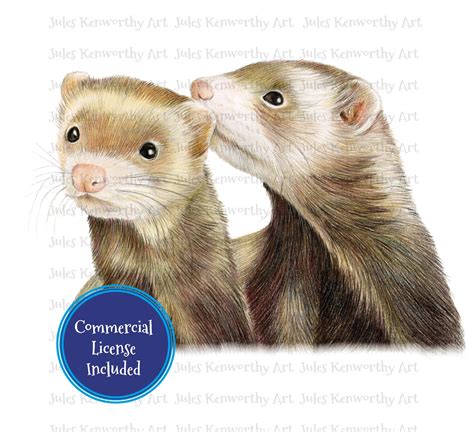 Cute Ferret Sublimation Artwork Ferret Illustration For Sublimation