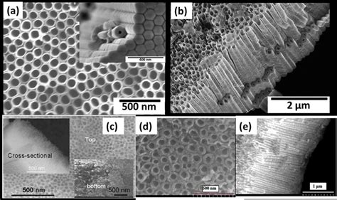 A Top View SEM Micrograph Of Titania Nanotube Arrays Fromed By