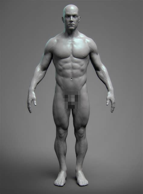 Anatomy Male Tool Reference For Artist D Model Unknown Free D