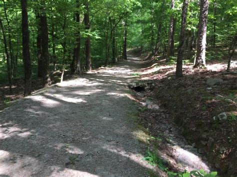 Hot Springs Village Voice Online Subscription HSVInsideOut