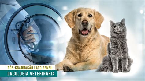 Iep Ranvier Pg Lato Sensu Em Oncologia De C Es E Gatos