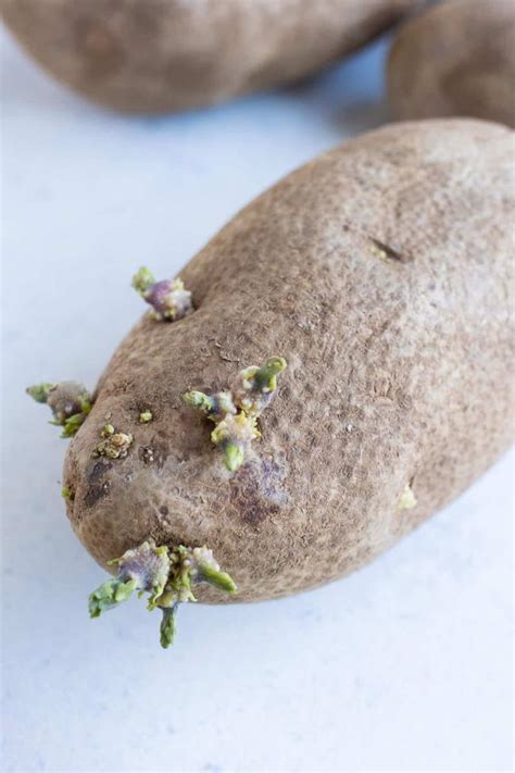 Are Sprouted Potatoes Safe to Eat? How to Remove Sprouts and Store Potatoes